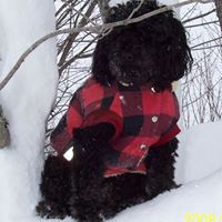 Paula Robichaud Photo 3