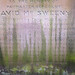 David Mcsweeny Photo 4