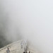 Yang Zhao Photo 13