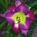 Curt Hansen Photo 47