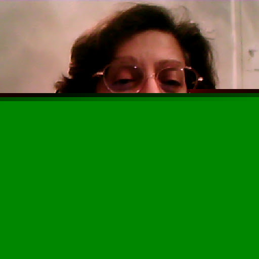 Rehana Hussain Photo 23