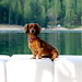 Jill Wiener Photo 16