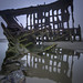 Steven Peters Photo 34