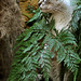 Cindy Gray Photo 10
