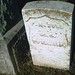 Julia Workman Photo 26