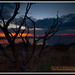 Robert Daugherty Photo 43
