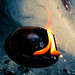 Jo Falter Photo 9