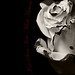 Renay White Photo 19