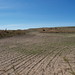 Douglas Dyer Photo 11