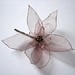 Joy Dore Photo 14
