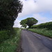 Nicholas Hutton Photo 8