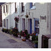 Michael Ives Photo 12