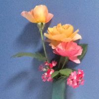 Cynthia Ernst Photo 22