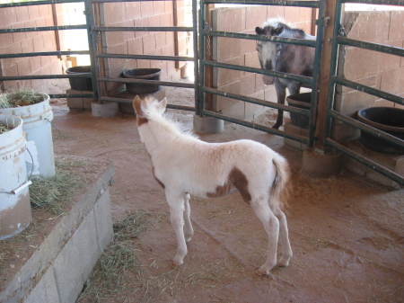 Nancy Dyer Photo 24