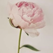Julie Killian Photo 28