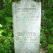 Nancy Thompson Photo 60