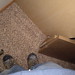 Randy Trask Photo 15