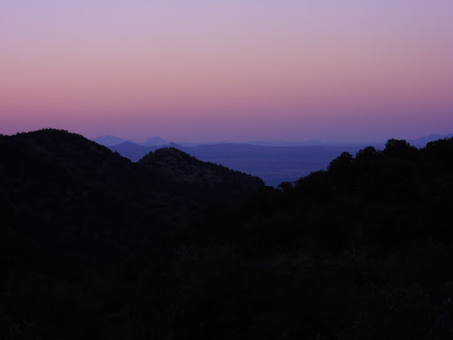 Donna Duncan Photo 36