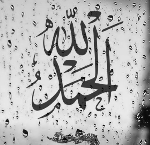 Mohamed Abdelaziz Photo 33