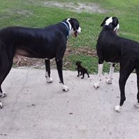 Cynthia Prewitt Photo 6