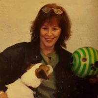 Debbie Harper Photo 2