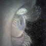 Sandra Workman Photo 20