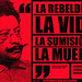 Ricardo Flores Photo 49