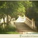 Denise Montes Photo 34