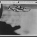 Joseph Wilt Photo 15