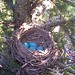 Barbara Maxey Photo 25