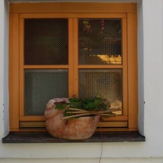 Christine Moser Photo 24