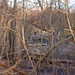 Allen Huff Photo 7