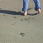 Andrea Knowles Photo 20