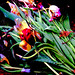 Ophelia Brown Photo 32