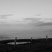 Bw Harris Photo 5
