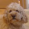 Linda Murtha Photo 6