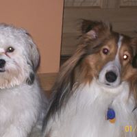 Debra Kelley Photo 4