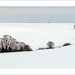 Lorraine Winters Photo 16