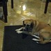 Sharon Rogers Photo 8