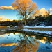 Larry Fain Photo 12