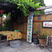 Sue Dickson Photo 8