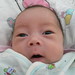 Chester Cheng Photo 18