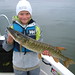 David Stolt Photo 9