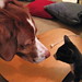 Brittany Foster Photo 11