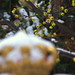 Peder Oase Photo 6