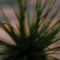 Paula Grassi Photo 5