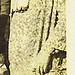 James Musselman Photo 27