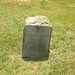 Virginia Jackson Photo 17