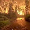 Gerald Robinson Photo 19