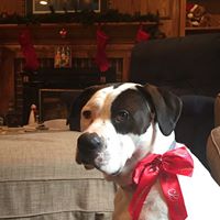 Lori Helms Photo 10